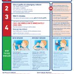 Adult First Aid Asthma Chart